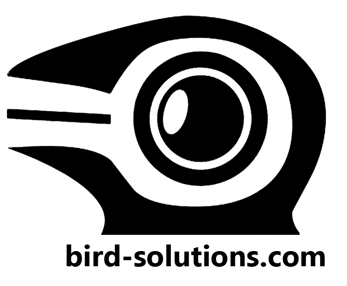 Bird Real Estate Photography & Drone Services